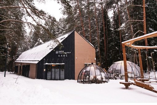 Лесопарк «Шишкин лес» мы открыли в сентябре прошлого года